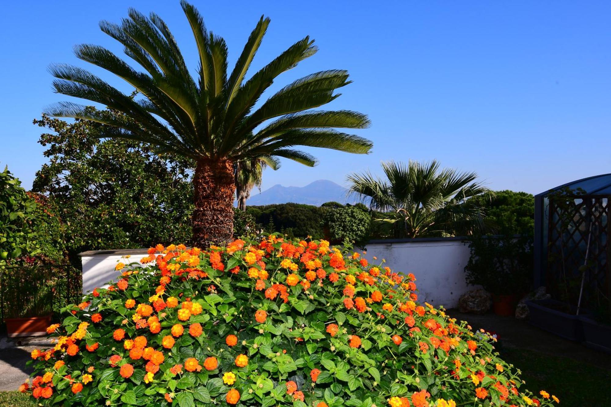 Apartment Casa Giulia Azzurra Naples